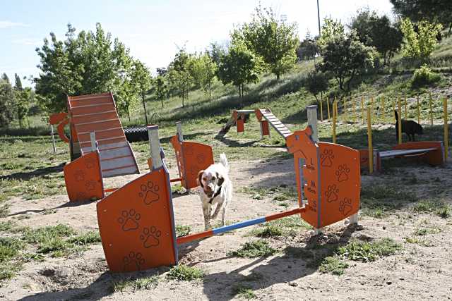 Tres Cantos mejora las zonas caninas durante el verano para mayor comodidad de mascotas y dueños