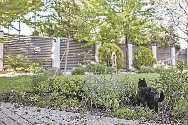 Los jardineros advierten: no cometas estos errores comunes durante el verano