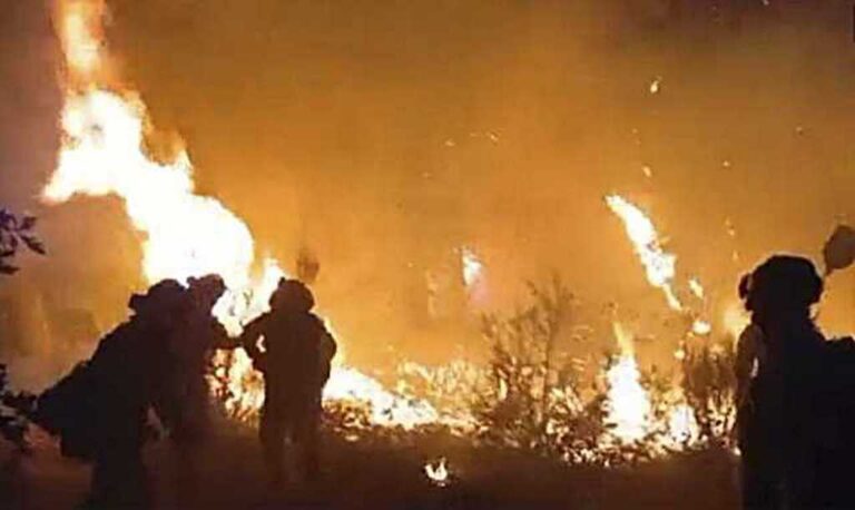 Se estima que la superficie afectada por el incendio de Burgohondo es de 37.800 hectáreas en la provincia de Ávila