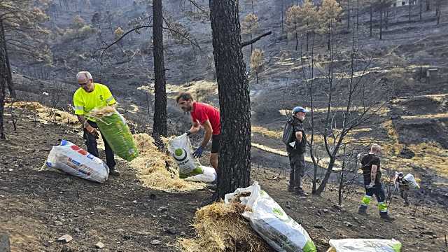 Más de cien voluntarios participan en actividades de protección del entorno de El Burguillo