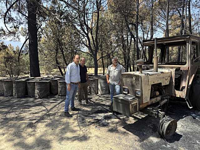 La Junta aprueba un plan de ayuda para la rehabilitación de las áreas impactadas por los incendios forestales