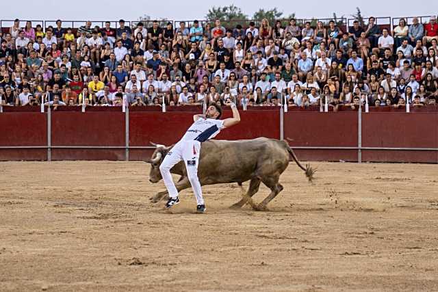 Se celebra el tradicional certamen de recortes taurinos en Pozuelo
