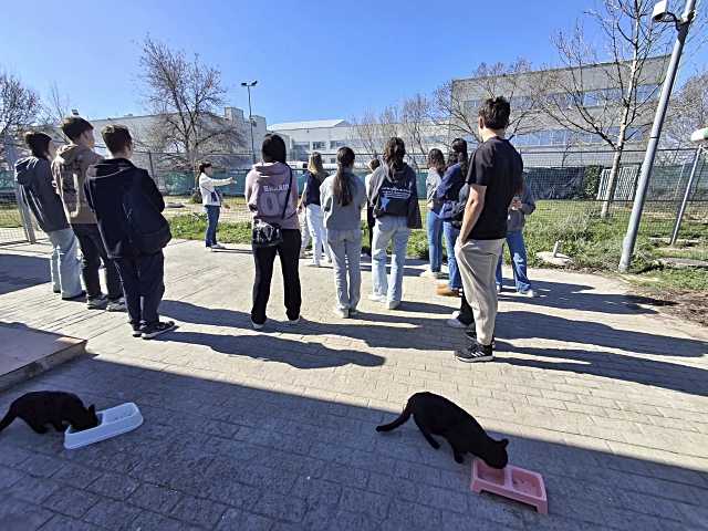 Las Rozas impulsa la participación juvenil con más de 5.000 participantes durante el curso