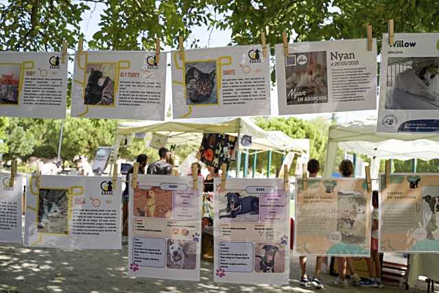 Más de 25 protectoras participarán en la novena Jornada de Adopción de animales