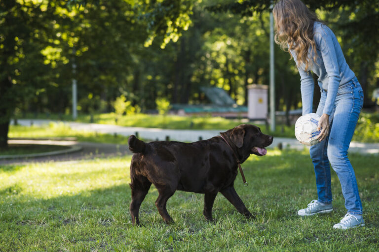 área canina Fresno Norte