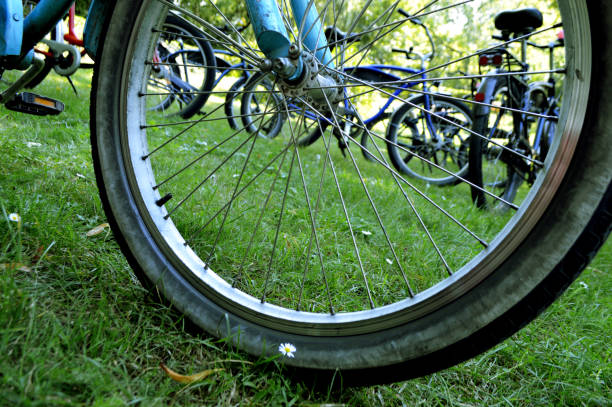 Boadilla del Monte celebrará el Día Familiar de la Bicicleta