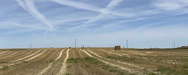Ávila impulsa el talento joven para avanzar hacia un campo más sostenible e innovador