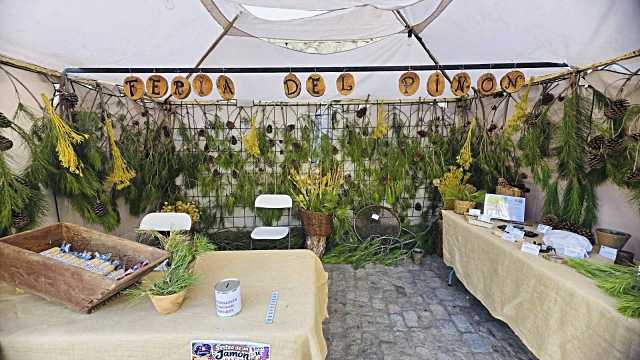 La XVI Feria del Piñón promueve los sectores agroalimentario, turístico y gastronómico