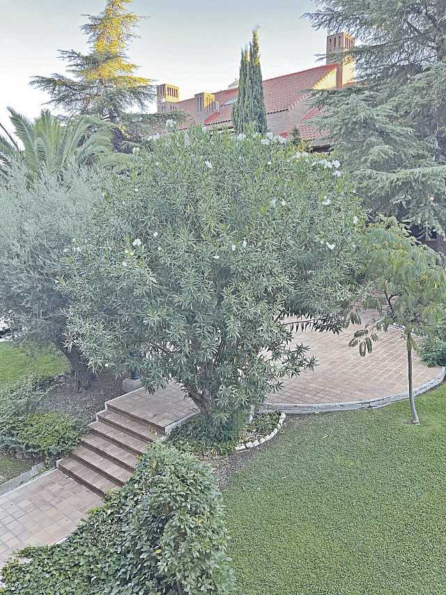 El jardín en otoño: diez tareas que no debemos olvidar