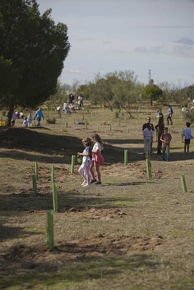 Las Rozas lanza una nueva edición de la Gran Plantación Familiar
